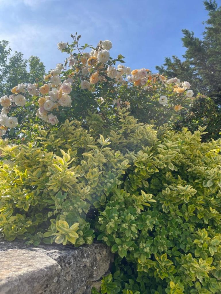 La Borie En Provence Bed & Breakfast Gordes Exterior foto