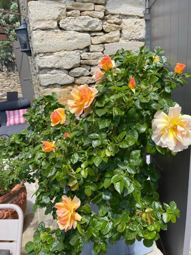 La Borie En Provence Bed & Breakfast Gordes Exterior foto
