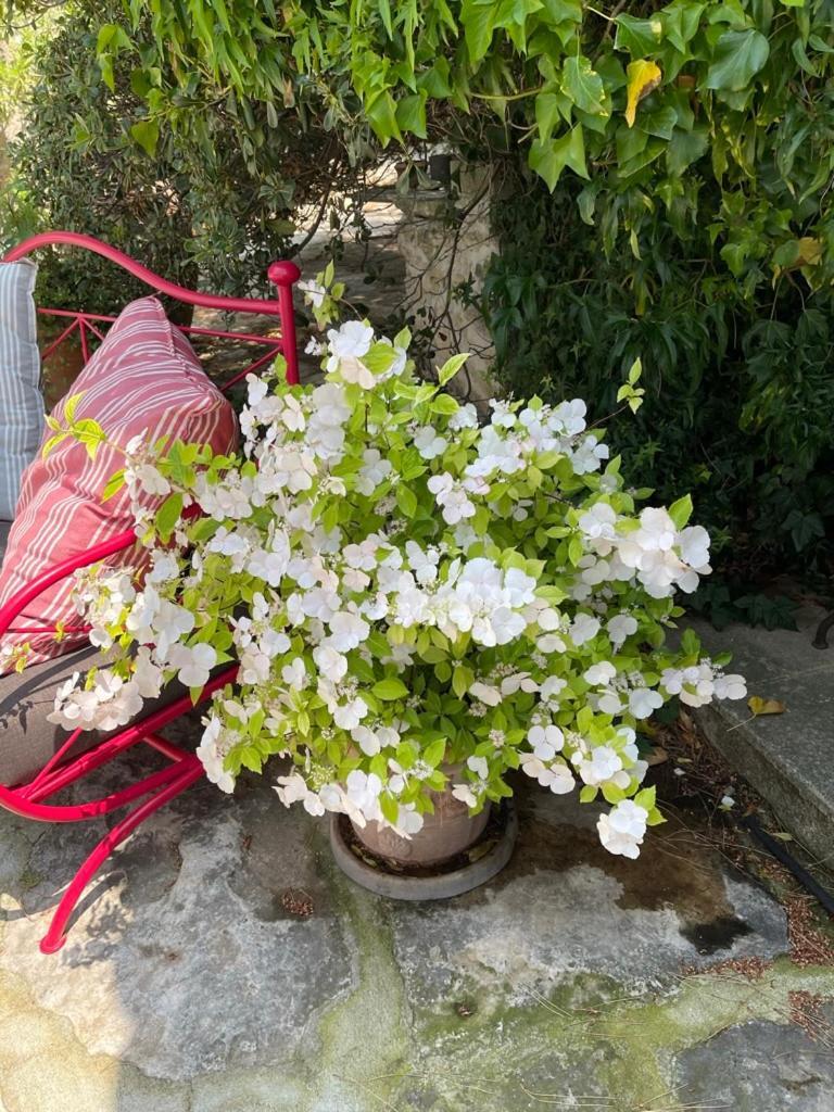 La Borie En Provence Bed & Breakfast Gordes Exterior foto