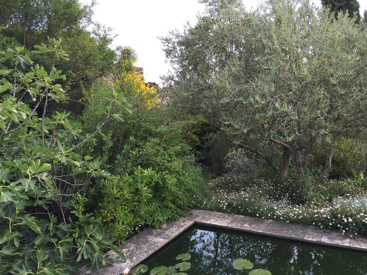 La Borie En Provence Bed & Breakfast Gordes Exterior foto