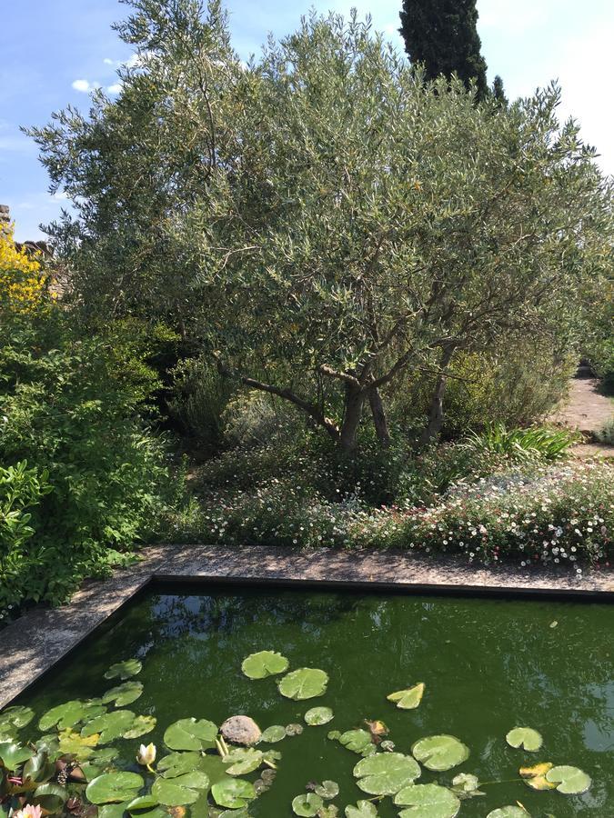La Borie En Provence Bed & Breakfast Gordes Exterior foto