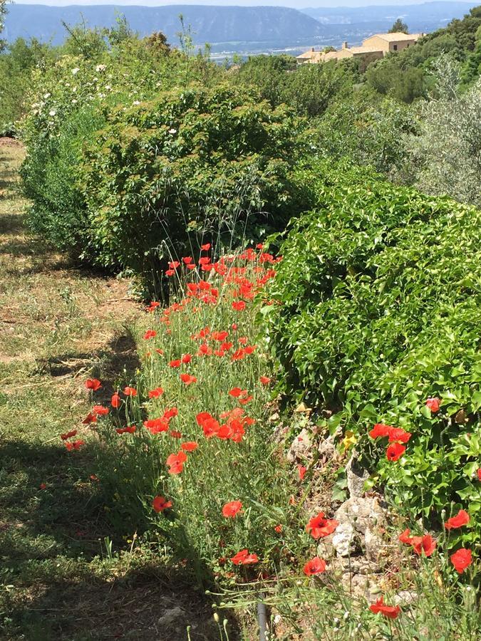 La Borie En Provence Bed & Breakfast Gordes Exterior foto