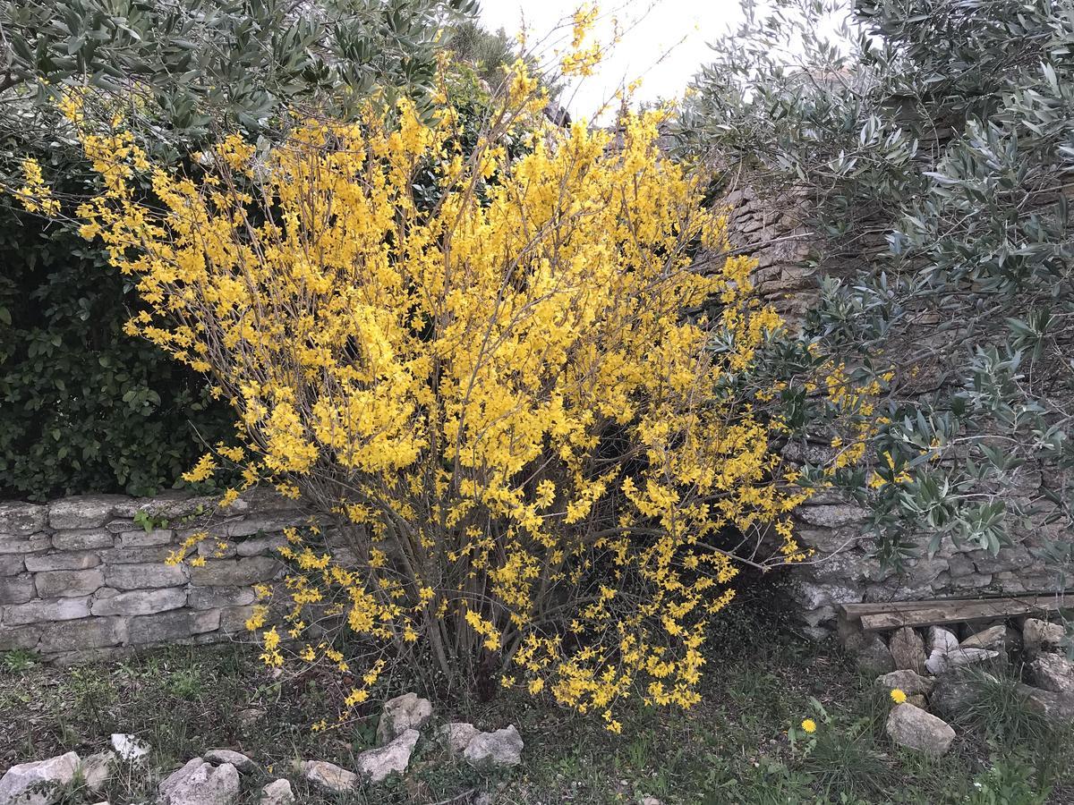 La Borie En Provence Bed & Breakfast Gordes Exterior foto